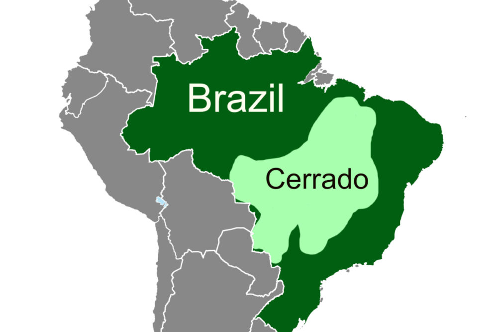 巴西地图，塞拉多地区突出显示