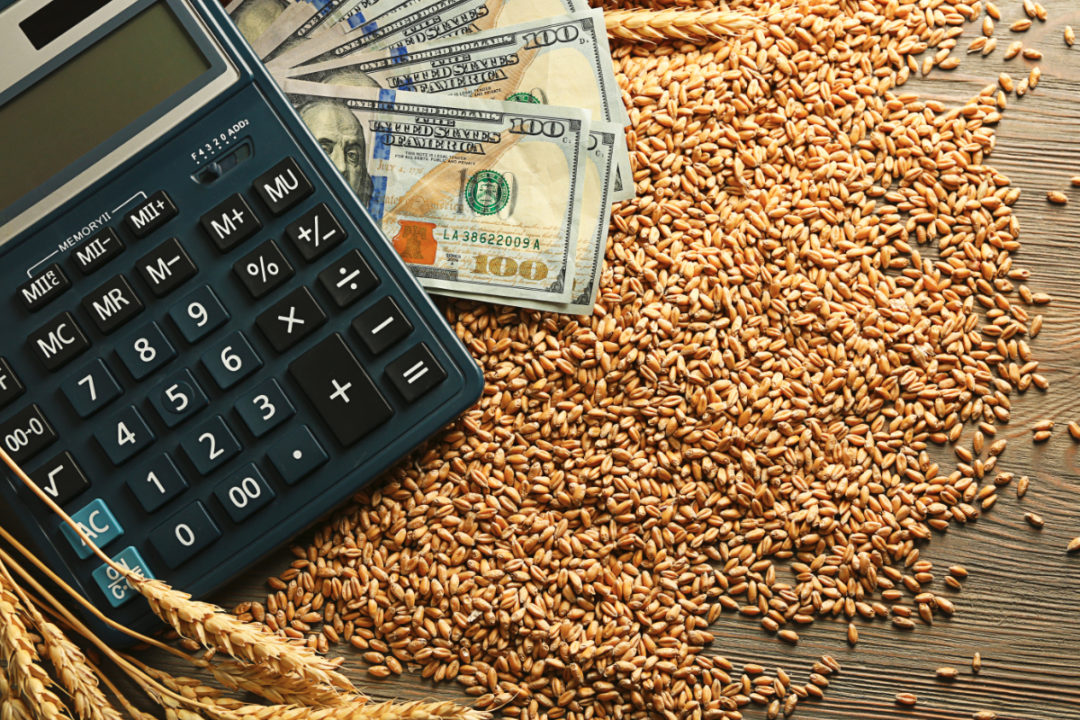 小麦，钱和计算器