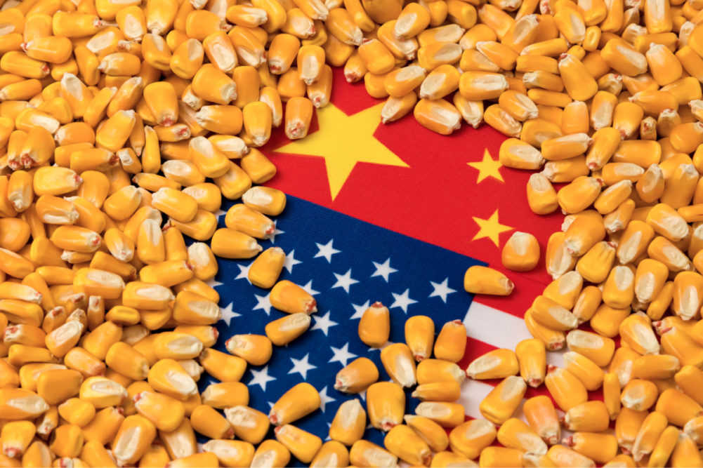 美国和中国的国旗被玉米粒覆盖
