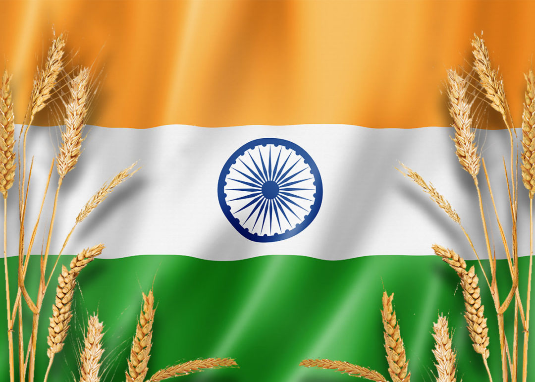印着小麦的印度国旗