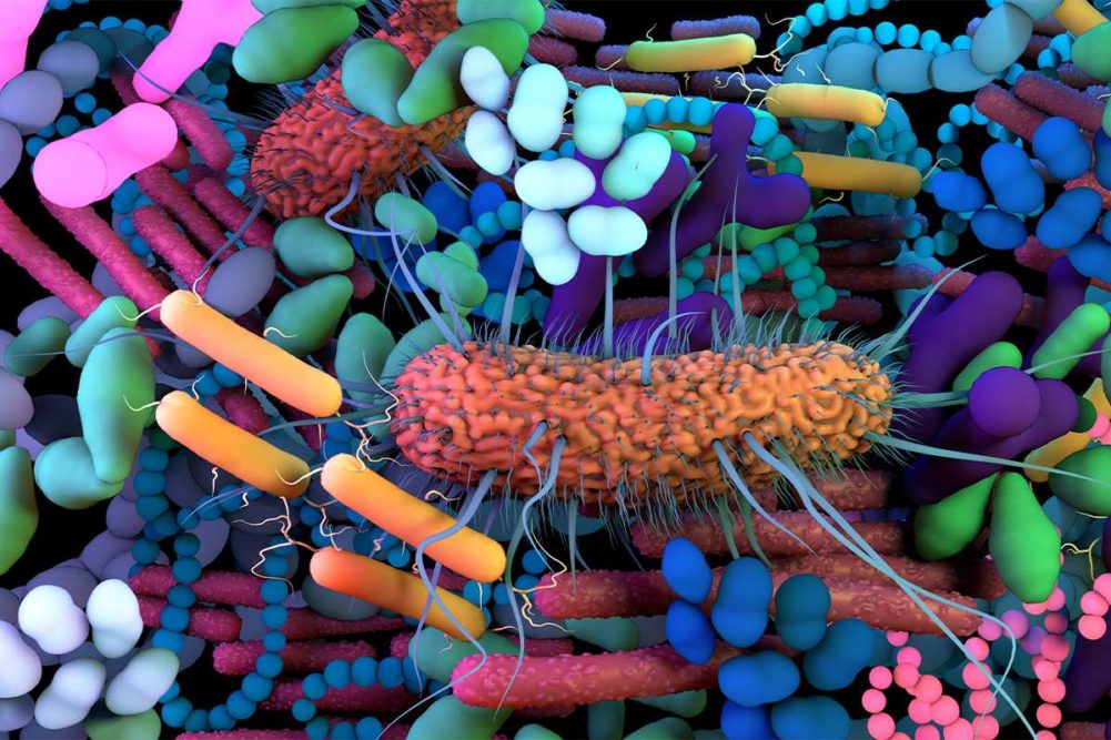 微生物组细菌，肠道健康，生物群落