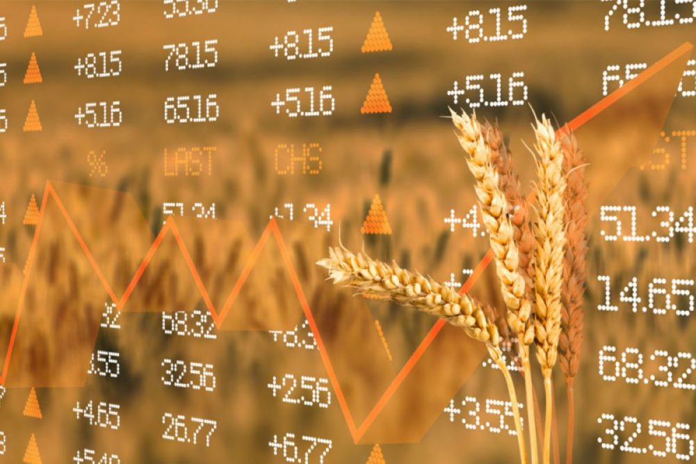 小麦和股票价格